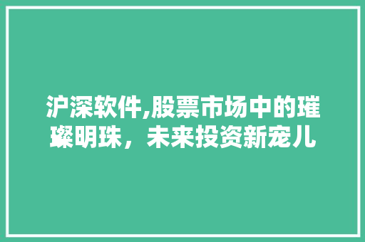 沪深软件,股票市场中的璀璨明珠,未来投资新宠儿 沪深软件,股票市场中的璀璨明珠,未来投资新宠儿