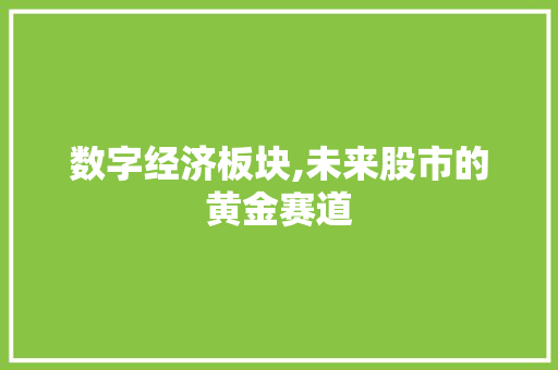 数字经济板块,未来股市的黄金赛道 数字经济板块,未来股市的黄金赛道