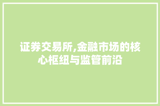 证券交易所,金融市场的核心枢纽与监管前沿 证券交易所,金融市场的核心枢纽与监管前沿