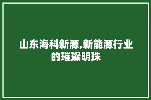 山东海科新源,新能源行业的璀璨明珠 山东海科新源,新能源行业的璀璨明珠