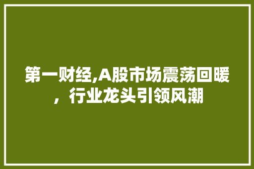 第一财经,A股市场震荡回暖，行业龙头引领风潮