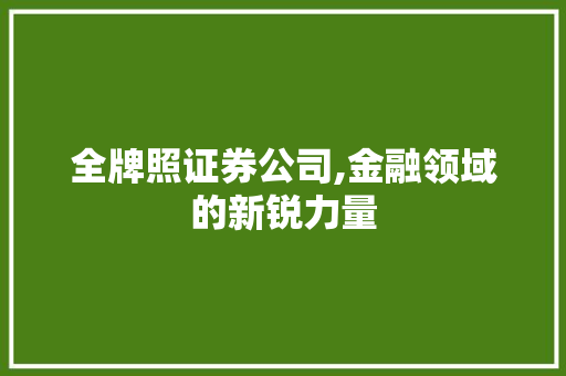 全牌照证券公司,金融领域的新锐力量 全牌照证券公司,金融领域的新锐力量