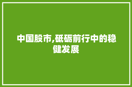 中国股市,砥砺前行中的稳健发展 中国股市,砥砺前行中的稳健发展
