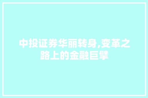 中投证券华丽转身,变革之路上的金融巨擘 中投证券华丽转身,变革之路上的金融巨擘