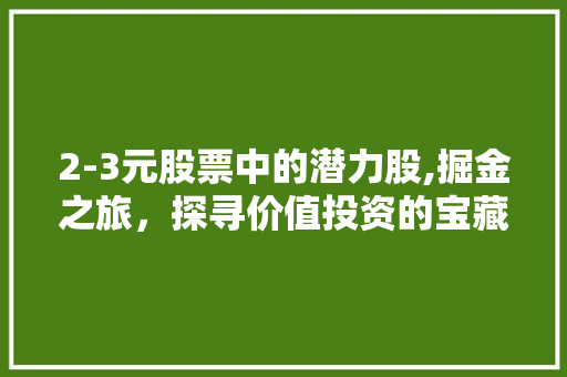 2-3元股票中的潜力股,掘金之旅,探寻价值投资的宝藏 2-3元股票中的潜力股,掘金之旅,探寻价值投资的宝藏