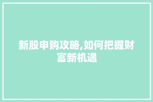 新股申购攻略,如何把握财富新机遇 新股申购攻略,如何把握财富新机遇