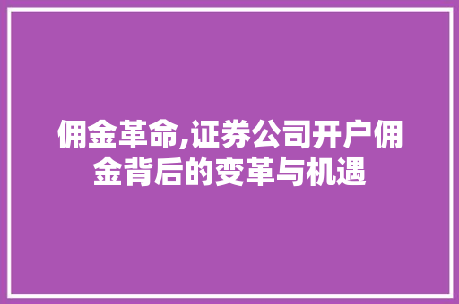 佣金革命,证券公司开户佣金背后的变革与机遇 佣金革命,证券公司开户佣金背后的变革与机遇