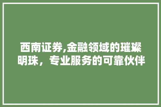 西南证券,金融领域的璀璨明珠,专业服务的可靠伙伴 西南证券,金融领域的璀璨明珠,专业服务的可靠伙伴