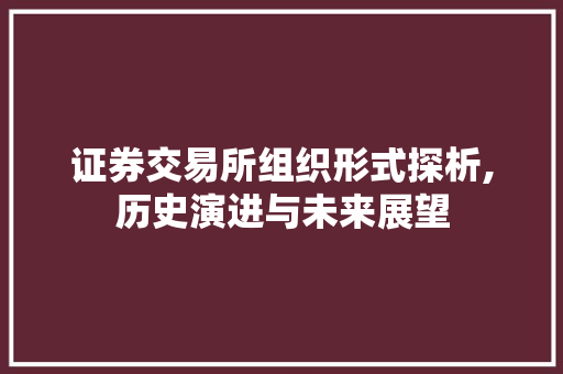 证券交易所组织形式探析,历史演进与未来展望 证券交易所组织形式探析,历史演进与未来展望