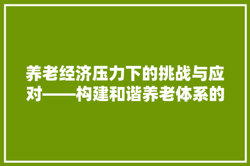 养老经济压力下的挑战与应对——构建和谐养老体系的探索 养老经济压力下的挑战与应对——构建和谐养老体系的探索