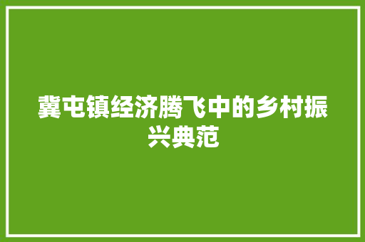 冀屯镇经济腾飞中的乡村振兴典范 冀屯镇经济腾飞中的乡村振兴典范