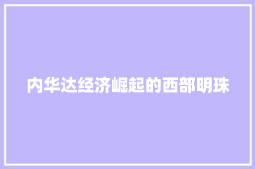 内华达经济崛起的西部明珠 内华达经济崛起的西部明珠