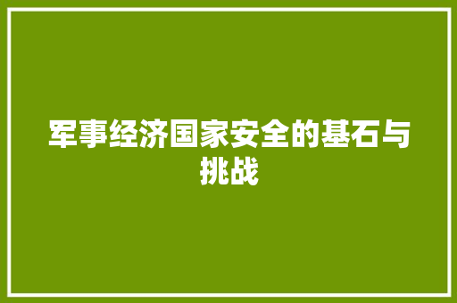 军事经济国家安全的基石与挑战 军事经济国家安全的基石与挑战
