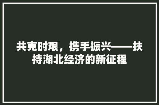 共克时艰,携手振兴——扶持湖北经济的新征程 共克时艰,携手振兴——扶持湖北经济的新征程