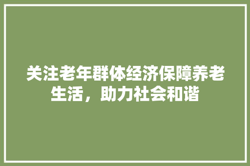 关注老年群体经济保障养老生活,助力社会和谐 关注老年群体经济保障养老生活,助力社会和谐