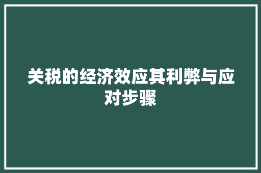 关税的经济效应其利弊与应对步骤 关税的经济效应其利弊与应对步骤