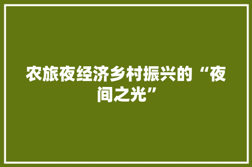 农旅夜经济乡村振兴的“夜间之光” 农旅夜经济乡村振兴的“夜间之光”