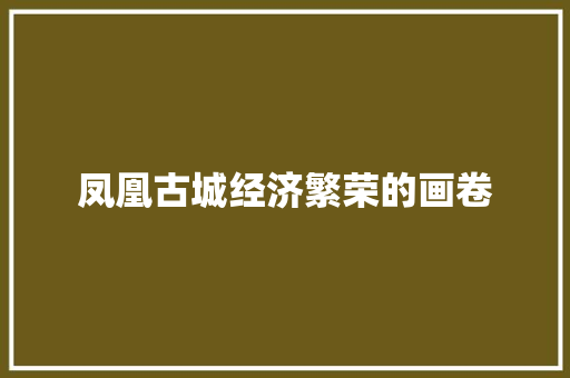 凤凰古城经济繁荣的画卷 凤凰古城经济繁荣的画卷