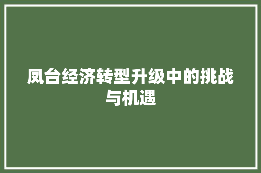 凤台经济转型升级中的挑战与机遇 凤台经济转型升级中的挑战与机遇