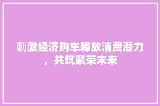 刺激经济购车释放消费潜力,共筑繁荣未来 刺激经济购车释放消费潜力,共筑繁荣未来