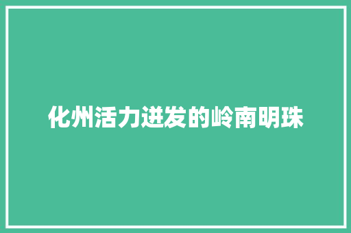 化州活力迸发的岭南明珠