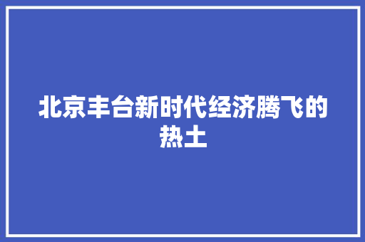 北京丰台新时代经济腾飞的热土 北京丰台新时代经济腾飞的热土