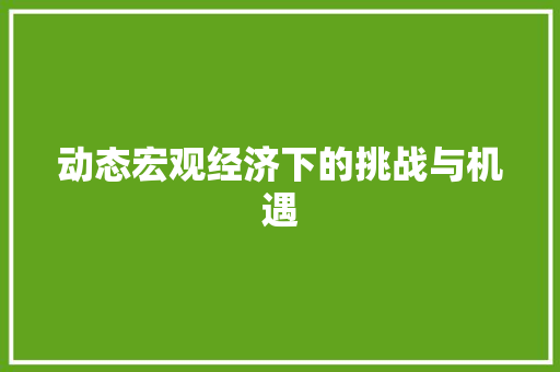 动态宏观经济下的挑战与机遇 动态宏观经济下的挑战与机遇
