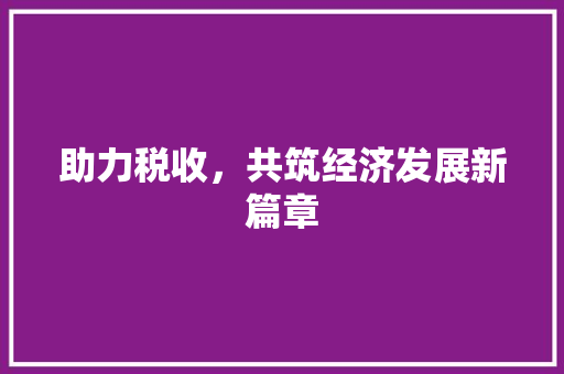 助力税收,共筑经济发展新篇章 助力税收,共筑经济发展新篇章