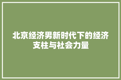 北京经济男新时代下的经济支柱与社会力量