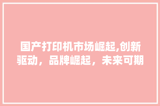 国产打印机市场崛起,创新驱动,品牌崛起,未来可期_国产打印机市场趋势 国产打印机市场崛起,创新驱动,品牌崛起,未来可期_国产打印机市场趋势