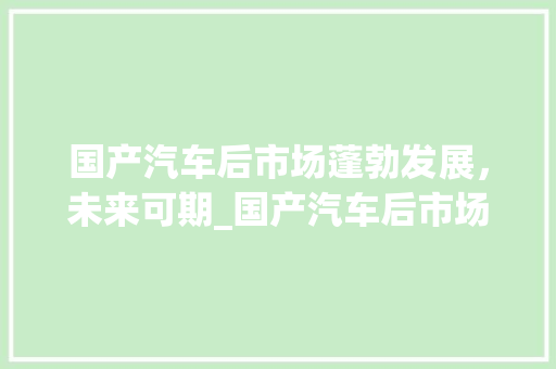 国产汽车后市场蓬勃发展,未来可期_国产汽车后市场趋势分析 国产汽车后市场蓬勃发展,未来可期_国产汽车后市场趋势分析