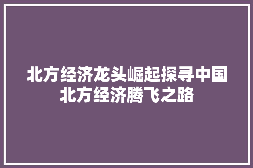 北方经济龙头崛起探寻中国北方经济腾飞之路 北方经济龙头崛起探寻中国北方经济腾飞之路