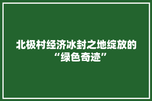 北极村经济冰封之地绽放的“绿色奇迹” 北极村经济冰封之地绽放的“绿色奇迹”