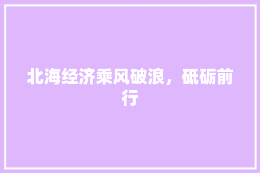 北海经济乘风破浪，砥砺前行