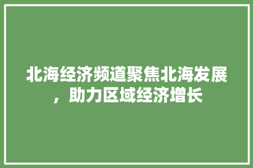 北海经济频道聚焦北海发展,助力区域经济增长 北海经济频道聚焦北海发展,助力区域经济增长