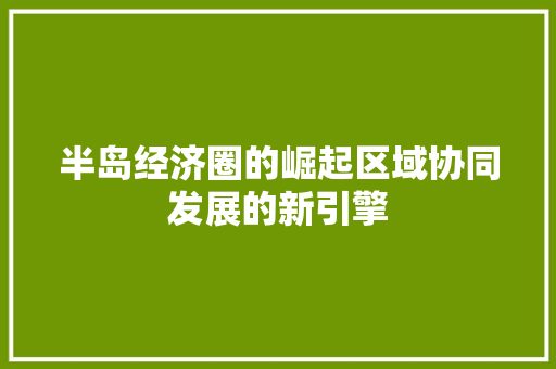 半岛经济圈的崛起区域协同发展的新引擎 半岛经济圈的崛起区域协同发展的新引擎