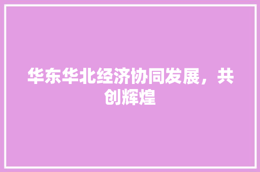 华东华北经济协同发展,共创辉煌 华东华北经济协同发展,共创辉煌