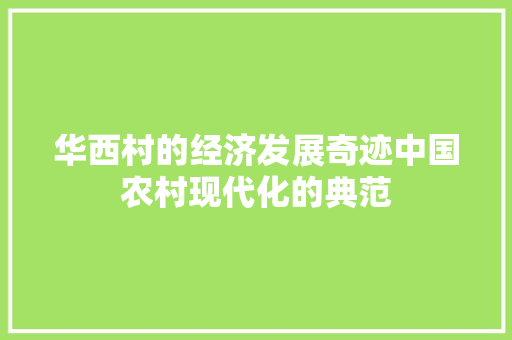 华西村的经济发展奇迹中国农村现代化的典范