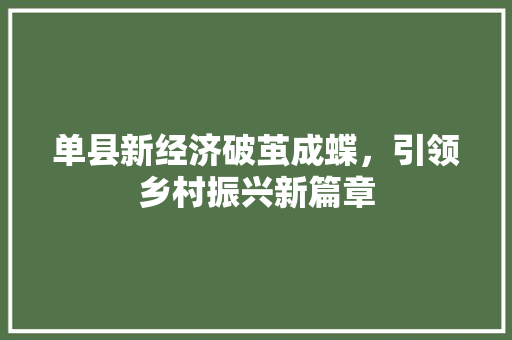 单县新经济破茧成蝶,引领乡村振兴新篇章 单县新经济破茧成蝶,引领乡村振兴新篇章