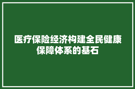 医疗保险经济构建全民健康保障体系的基石 医疗保险经济构建全民健康保障体系的基石