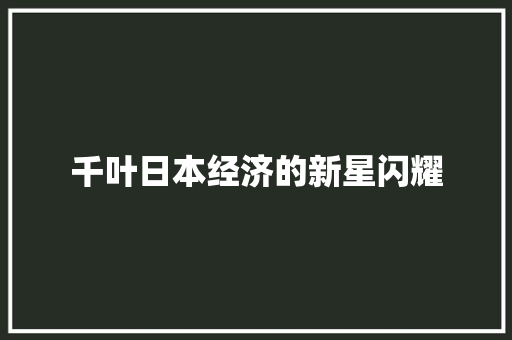 千叶日本经济的新星闪耀 千叶日本经济的新星闪耀