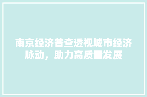 南京经济普查透视城市经济脉动,助力高质量发展 南京经济普查透视城市经济脉动,助力高质量发展