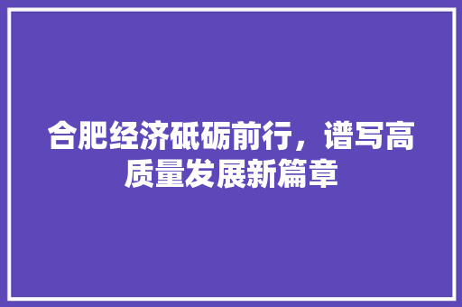 合肥经济砥砺前行,谱写高质量发展新篇章 合肥经济砥砺前行,谱写高质量发展新篇章