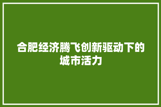 合肥经济腾飞创新驱动下的城市活力 合肥经济腾飞创新驱动下的城市活力