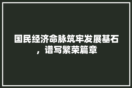 国民经济命脉筑牢发展基石,谱写繁荣篇章 国民经济命脉筑牢发展基石,谱写繁荣篇章