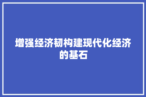 增强经济韧构建现代化经济的基石 增强经济韧构建现代化经济的基石