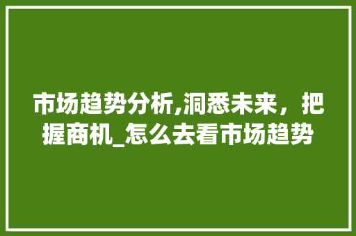 市场趋势分析,洞悉未来,把握商机_怎么去看市场趋势论文 市场趋势分析,洞悉未来,把握商机_怎么去看市场趋势论文