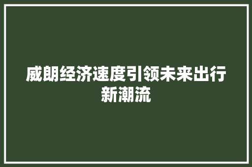 威朗经济速度引领未来出行新潮流 威朗经济速度引领未来出行新潮流