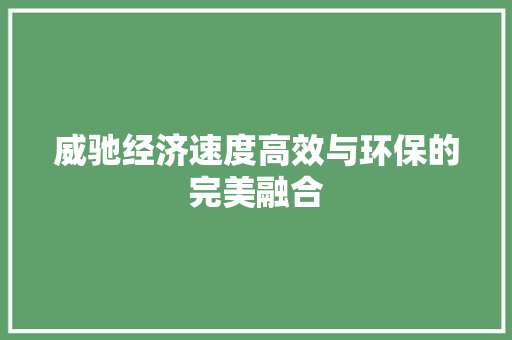 威驰经济速度高效与环保的完美融合 威驰经济速度高效与环保的完美融合