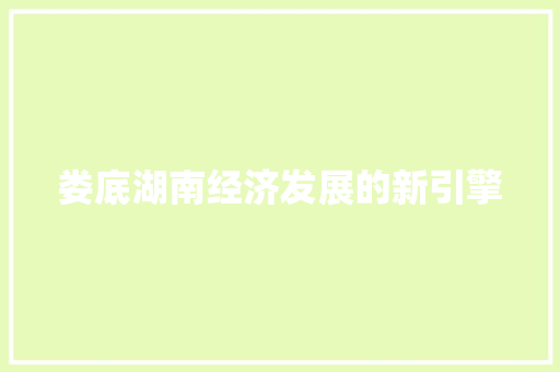 娄底湖南经济发展的新引擎 娄底湖南经济发展的新引擎